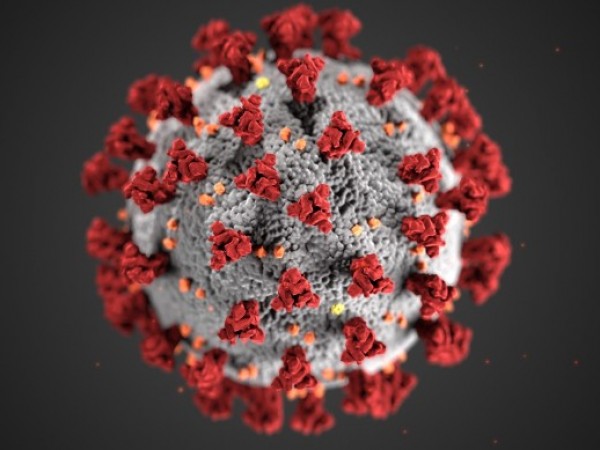 403 нови случая на коронавирус, шестима са починали